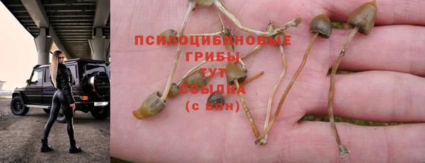 mdma Новозыбков