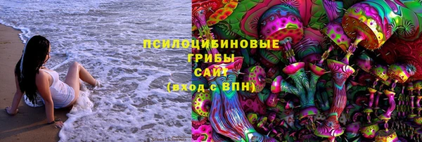 крисы Алексин