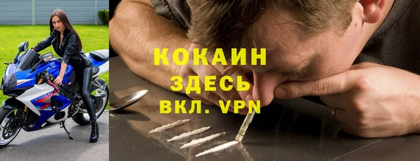 крисы Алексин
